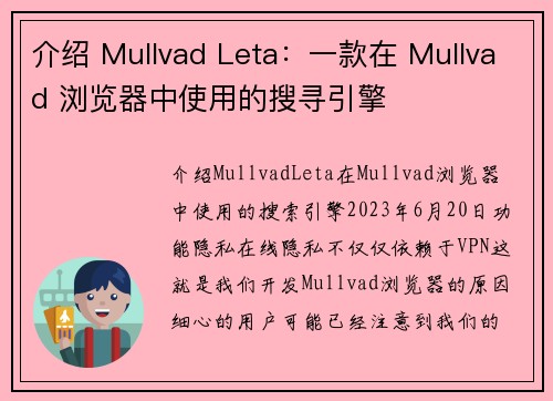 介绍 Mullvad Leta：一款在 Mullvad 浏览器中使用的搜寻引擎 